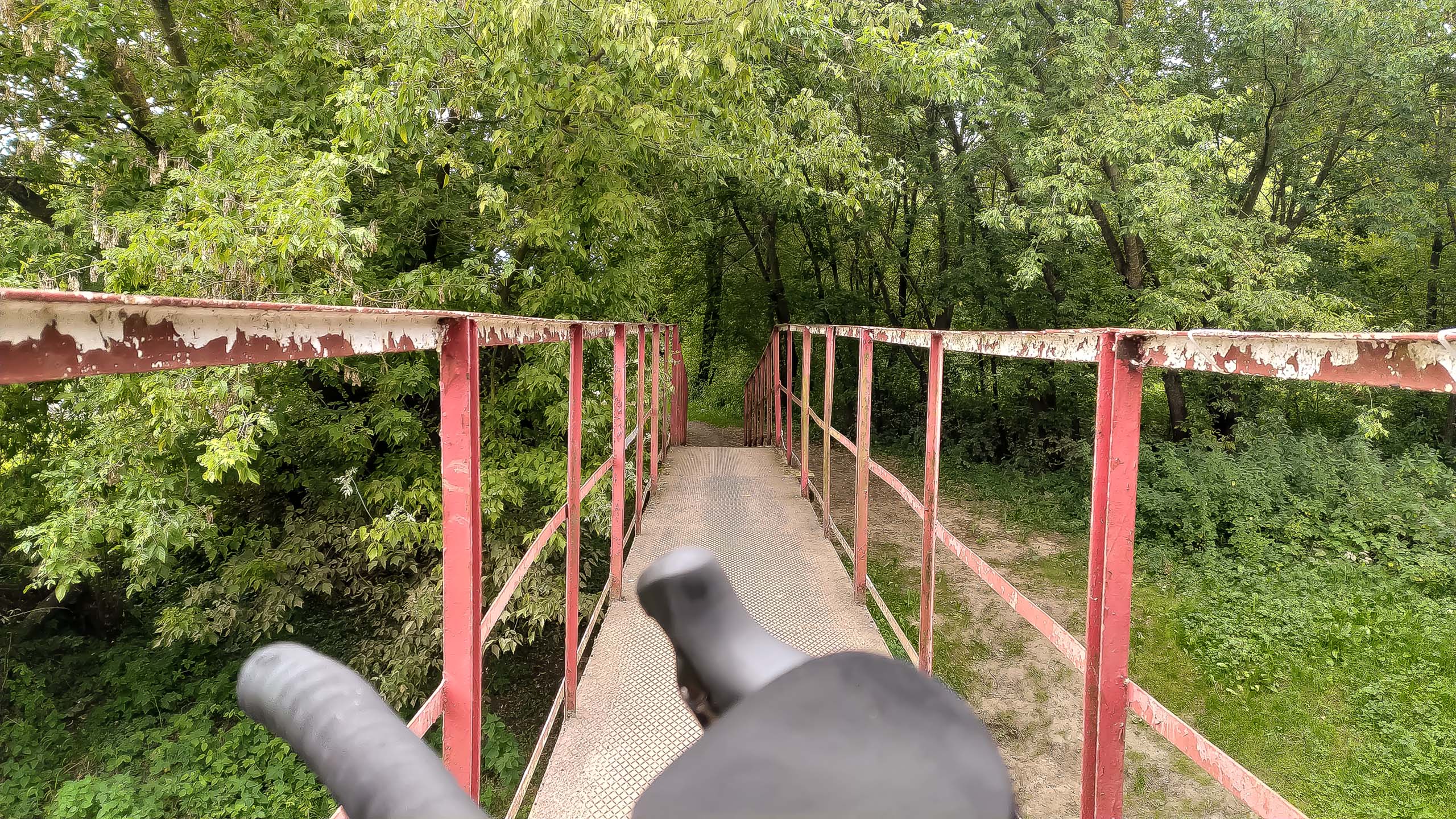 IMG 20200801 083947 kopia